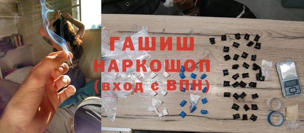 гидра Осинники