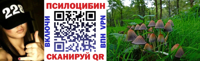 где купить   blacksprut сайт  Галлюциногенные грибы ЛСД  Советск 