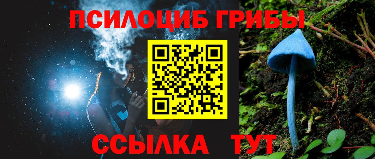 Советск  хочу   Вход с VPN  Псилоцибиновые грибы Magic Shrooms 